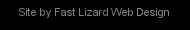 Web site designed by Fast Lizard Web Design